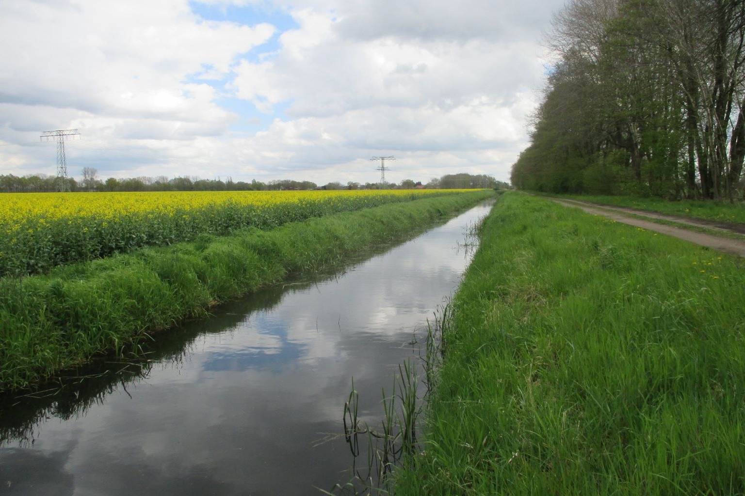 Foto vom Luwigsluster Kanal. Beispiel für einen stark begradigen und ausgebauten Abschnitt des Kanals (Foto: bioplan, Sandmann 2016) Foto vom Luwigsluster Kanal. Beispiel für einen stark begradigen und ausgebauten Abschnitt des Kanals